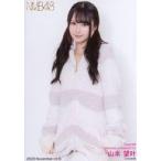 中古生写真(AKB48・SKE48) B：山本望叶/2023.November