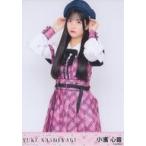 中古生写真(AKB48・SKE48) 小濱心音/膝上/柏木由紀 卒