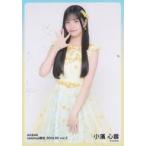 中古生写真(AKB48・SKE48) 小濱心音/膝上/AKB48 2024