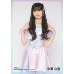 中古生写真(AKB48・SKE48) 小濱心音/膝上/AKB48 2024
