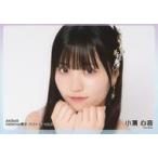 中古生写真(AKB48・SKE48) 小濱心音/横型/AKB48 2024
