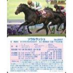 中古スポーツ No.2557：ソウルラッ