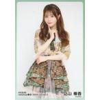 中古生写真(AKB48・SKE48) 込山榛香/膝上/AKB48 2024