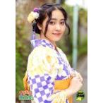 Suruga ya gn819173