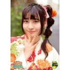 Suruga ya gn819201