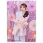 中古生写真(AKB48・SKE48) 平田侑希/膝上/AKB48 2025