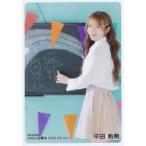 中古生写真(AKB48・SKE48) 平田侑希/膝上/AKB48 2025