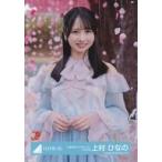 中古生写真(坂道シリーズ) 上村ひなの/上半身・桜/日