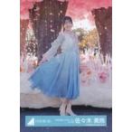 中古生写真(坂道シリーズ) 佐々木美玲/全身・桜/日向