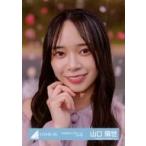 中古生写真(乃木坂46) 山口陽世/バストアップ・桜/日