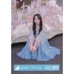中古生写真(乃木坂46) 山口陽世/座り・桜/日向坂46ラ