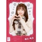中古生写真(AKB48・SKE48) 橋本陽菜/CD「まさかのConf