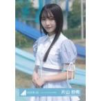 中古生写真(坂道シリーズ) 日向坂46/片山紗希/上半身