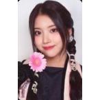 中古コレクションカード(女性)/ NMI