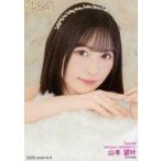 中古生写真(AKB48・SKE48) A：NMB48/山本望叶/2025.Ju