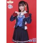 中古生写真(AKB48・SKE48) NMB48/新澤菜央/膝上/NMB48