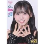 中古生写真(AKB48・SKE48) NMB48/泉綾乃/バストアップ/NMB48 難波祭 2025 -ユニコレ- ランダム生写真