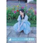 中古生写真(乃木坂46) 日向坂46/小西夏菜実/座り/日向
