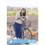 中古生写真(乃木坂46) 日向坂46/平岡海月/座り/日向坂
