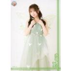 中古生写真(AKB48・SKE48) SKE48/赤堀君江/膝上/「SKE