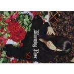 中古男性写真集 D Memorial 写真集 Blooming rose