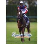  б/у спорт журнал Espoir City MEMORIAL BOOK