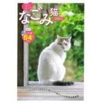  б/у животное * домашнее животное журнал DVD есть )mof Qun ... кошка 