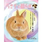  б/у животное * домашнее животное журнал .......2021 год 10 месяц номер 