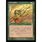 中古マジックザギャザリング 260/350[R]：【MMQ】自然の類似/Natural Affinity