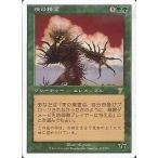 中古マジックザギャザリング 273/350[R]：【7ED】茨の精霊/Thorn Elemental