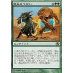 中古マジックザギャザリング 144/165[R]：【PLC】野生のつがい/Wild Pair