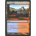 中古マジックザギャザリング 357/383[R]：【10E】シヴの浅瀬/Shivan Reef
