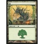 中古マジックザギャザリング 174/175[C]：【NPH】森/Forest