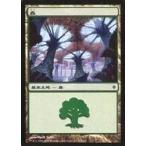 中古マジックザギャザリング 175/175[C]：【NPH】森/Forest