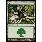 中古マジックザギャザリング 249a/249[C]：【ZEN】森/Forest