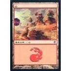 中古マジックザギャザリング 245/249[C]：【SOM】山/Mountain