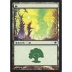 中古マジックザギャザリング 248/249[C]：【SOM】森/Forest