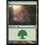 中古マジックザギャザリング 242/244[C]：【AVR】森/Forest