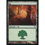 中古マジックザギャザリング 243/244[C]：【AVR】森/Forest