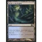 中古マジックザギャザリング 223/249[R ]：【M13】水没した地下墓地/Drowned Catacobm
