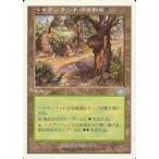 中古マジックザギャザリング 325/350[U]：【6ED】へイヴンウッドの古戦場/Havenwood Battleground