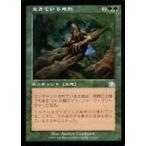 中古マジックザギャザリング 117/143[U]：【PCY】生きている地形/Living Terrain