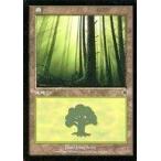 中古マジックザギャザリング 347/350[C]：【INV】森/Forest