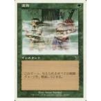 中古マジックザギャザリング 245/350[C]：【7ED】濃霧/Fog