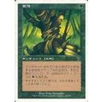 中古マジックザギャザリング 282/350[C]：【7ED】繁茂/Wild Growth
