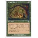 中古マジックザギャザリング 279/350[U]：【7ED】荒々しき自然/Untamed Wilds