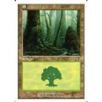 中古マジックザギャザリング 329/350[C]：【7ED】森/Forest