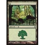 中古マジックザギャザリング 89/90[C]：【DDJ】森/Forest