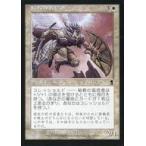 中古マジックザギャザリング 36/350[C]：【ODY】秘教の盲信者/Mystic Zealot