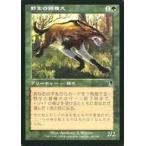 中古マジックザギャザリング 283/350[C]：【ODY】野生の雑種犬/Wild Mongrel